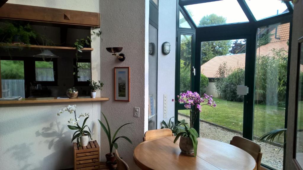 Zahrada ubytování Guest House La Sereine