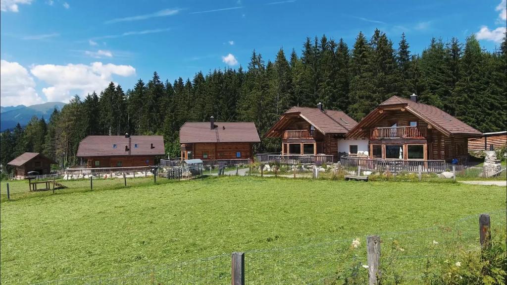 Príroda v okolí horskej chaty