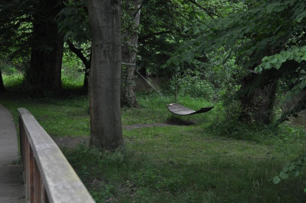 Příroda nedaleko apartmánu