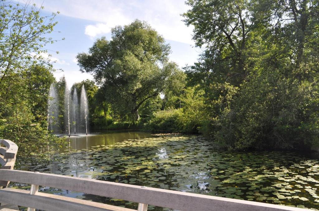 Příroda nedaleko apartmánu