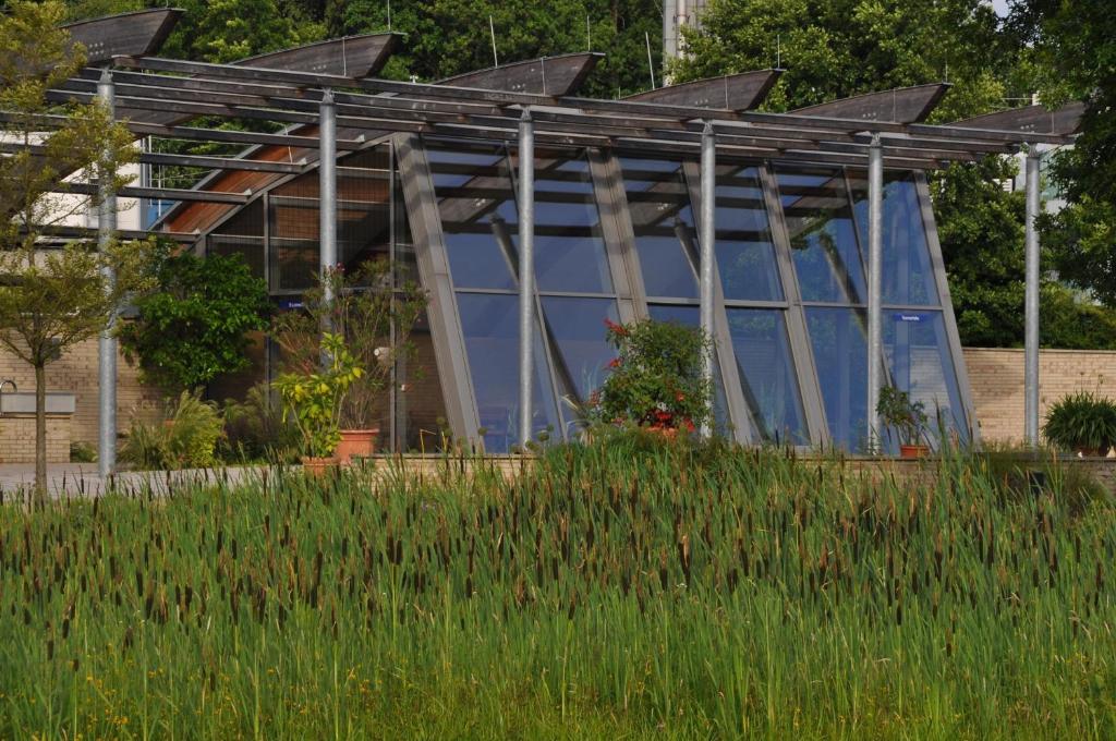 Zahrada ubytování FeWo Lüneburger Heide - Rosalie