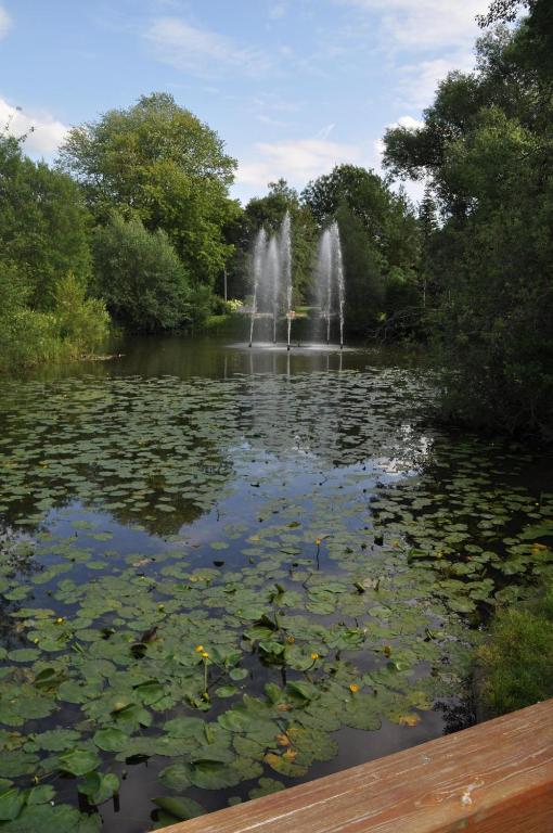 Příroda nedaleko apartmánu