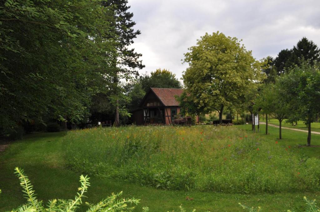 Příroda nedaleko apartmánu