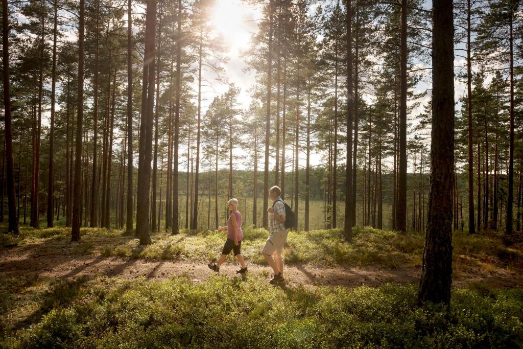 dwoje ludzi spacerujących po lesie z drzewami w obiekcie First Camp Hökensås-Tidaholm w mieście Tidaholm