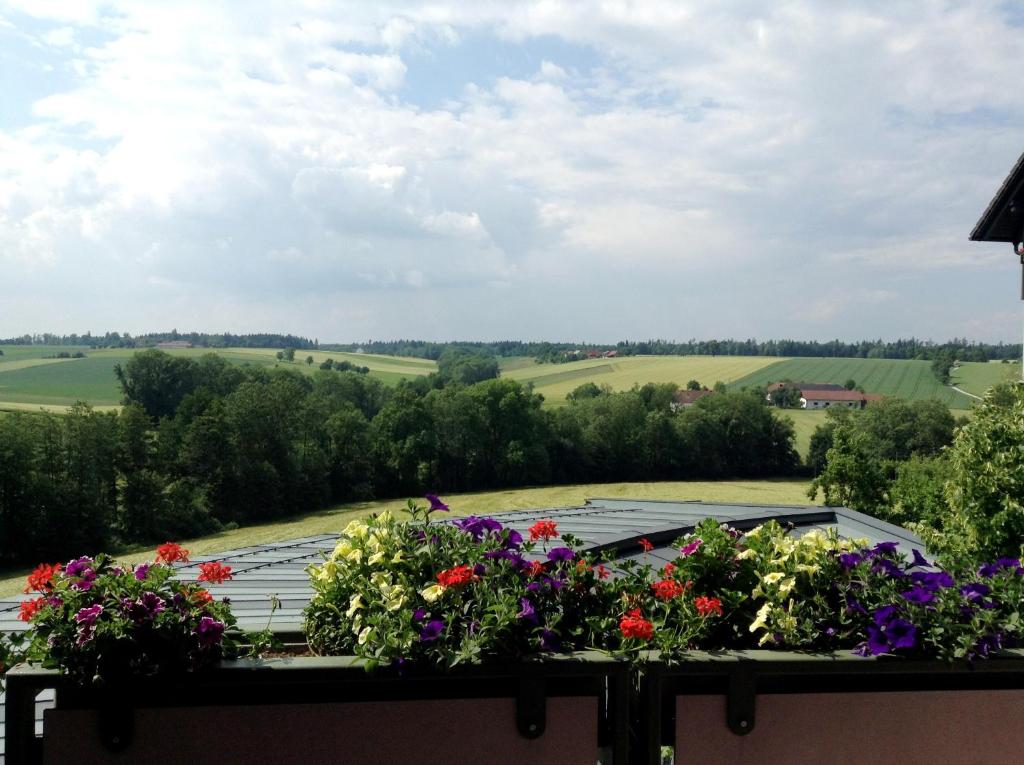 Příroda nedaleko hotelu
