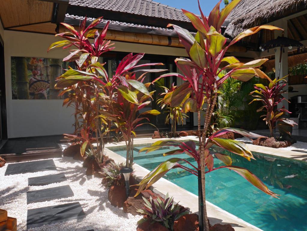 Hakuna Matata Bali Villas - 3