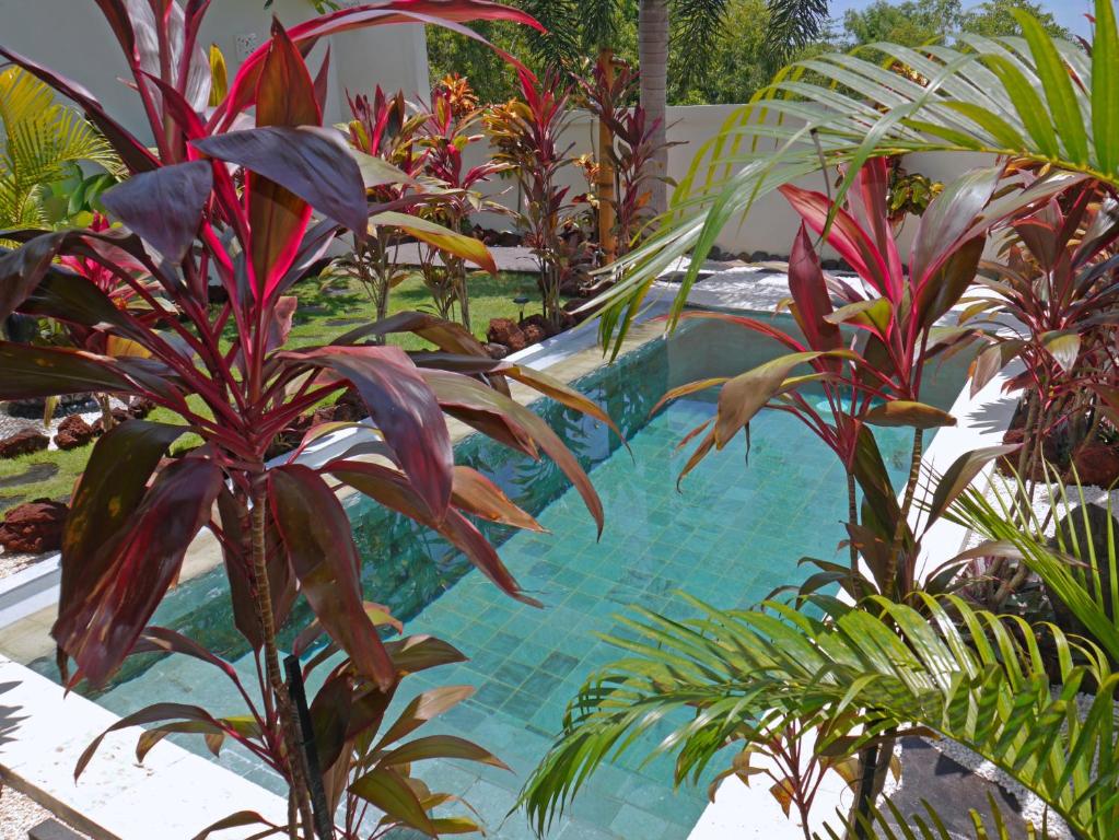 ein von Pflanzen umgebener Pool im Hof in der Unterkunft Hakuna Matata Bali Villas in Uluwatu