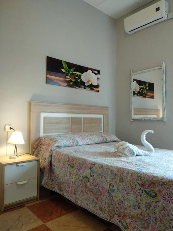 un dormitorio con una cama con un gato sobre ella en Pensión Riosol, en Sevilla
