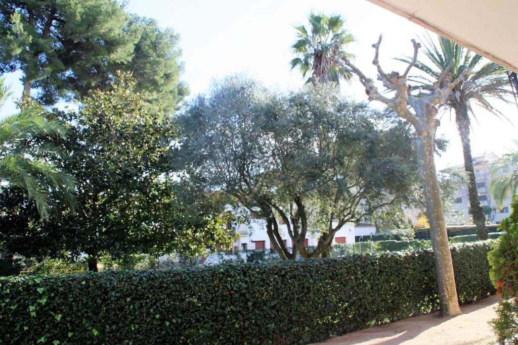 Apartaments Margarita Sabina Pinell - Appartamento
