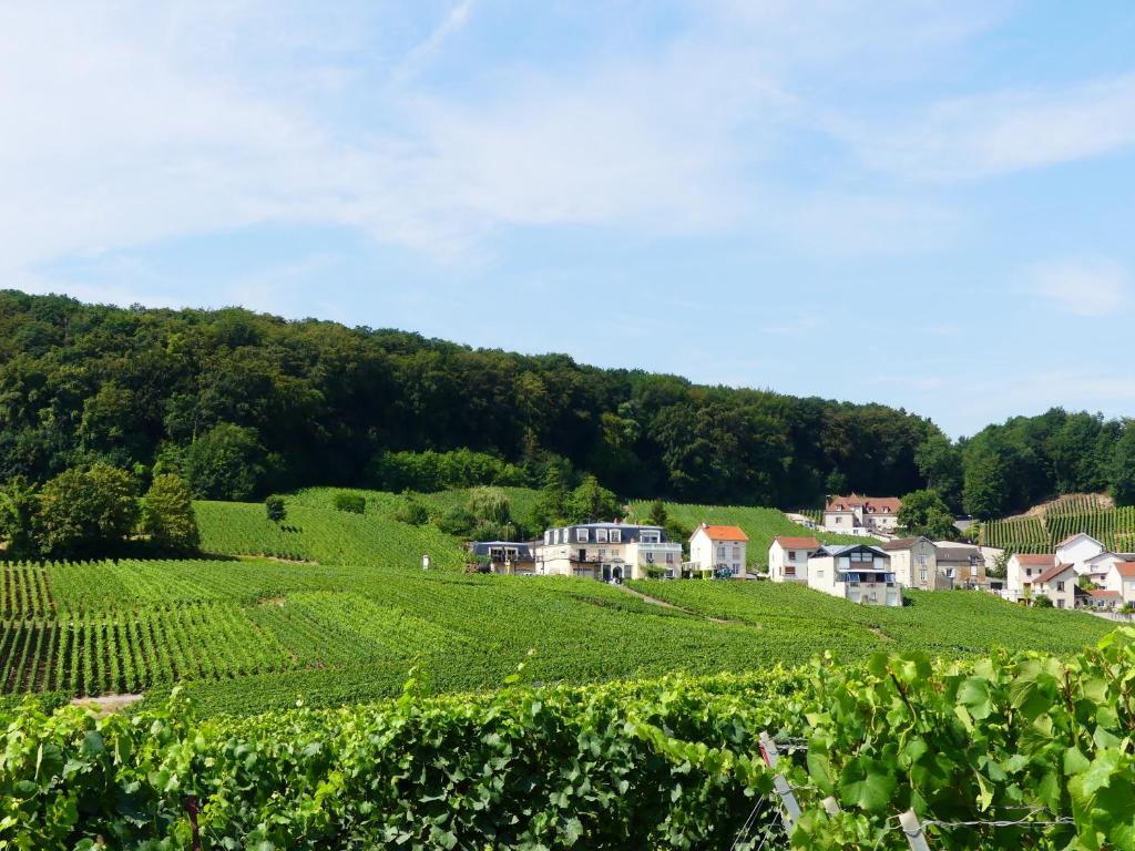 ein Dorf auf einem Hügel mit Weinbergen und Häusern in der Unterkunft B&B en Champagne in Cramant