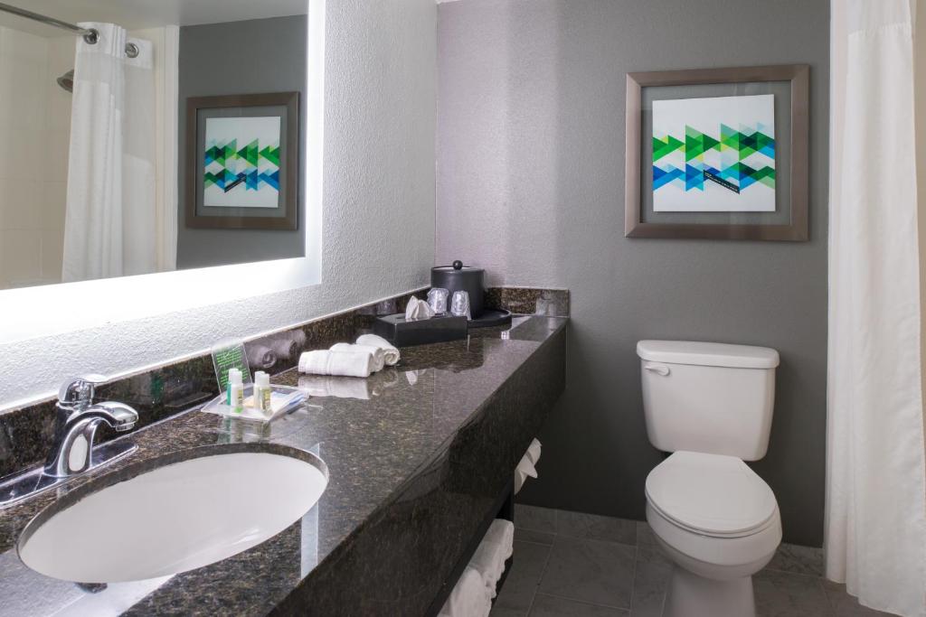 Holiday Inn Hotel and Suites Beaumont-Plaza I-10 & Walden, an IHG Hotel - Suite Roi
