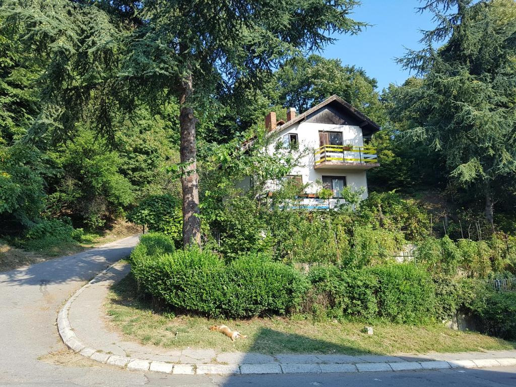una casa vieja al lado de una carretera en Nena & Rale Rooms, en Donji Milanovac