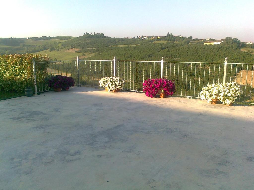 Příroda nedaleko bed and breakfast