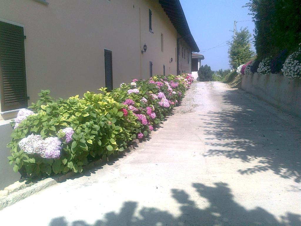 Fotografie z fotogalerie ubytování Cascina La Corte v destinaci Neive