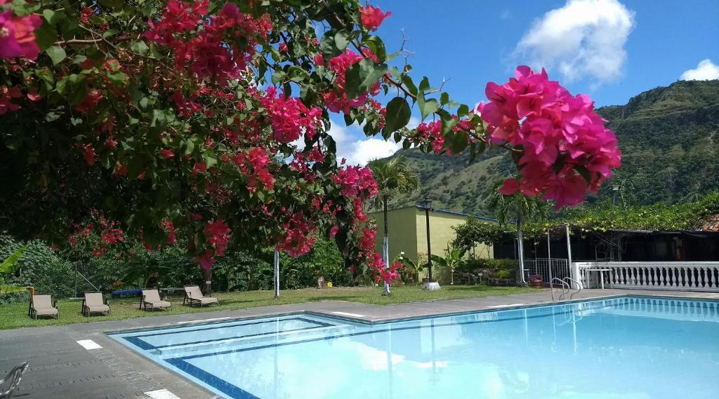 a swimming pool in front of a tree with pink flowers at Meson Hondano in Honda