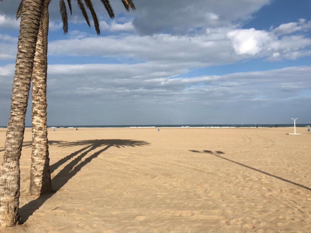 Beach-Arenas, Valence – Tarifs 2023