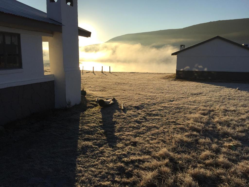 a dog laying on the ground next to a house at Dullstroom on the Dam in Dullstroom