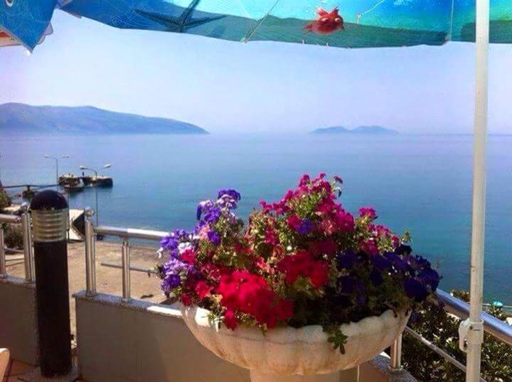 Vlora apartments