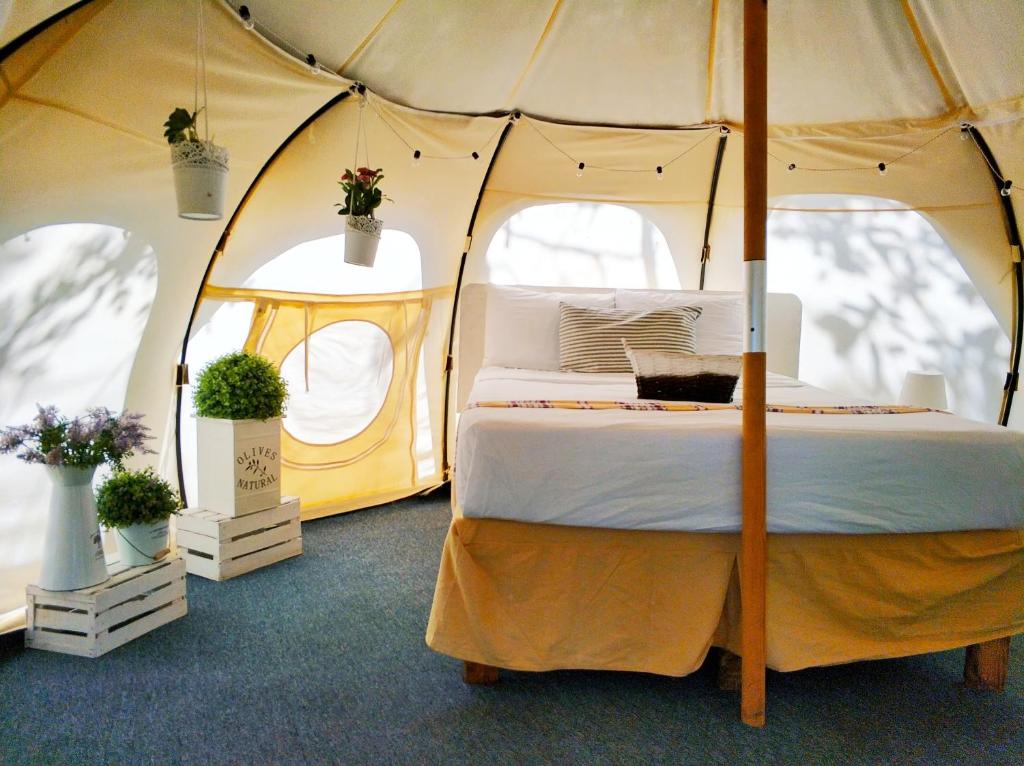 One of the spacious tents at Harmony Glamping Boutique Hotel and Yoga, one of the most unique places to sleep in Tulum