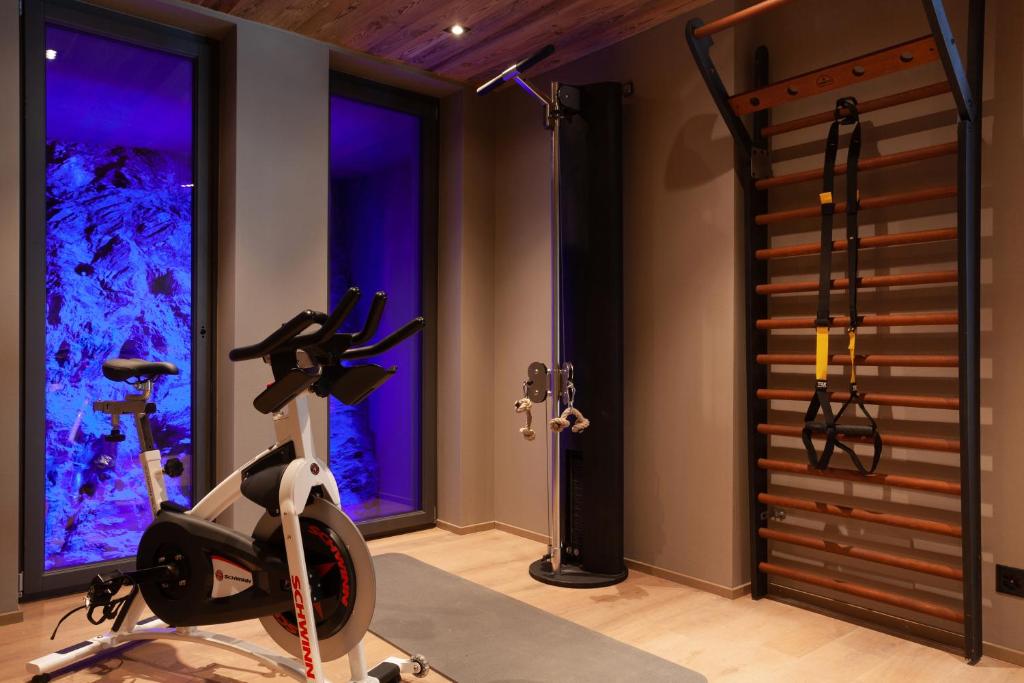 Fitness centrum a/nebo fitness zařízení v ubytování 22 Summits Boutique Hotel