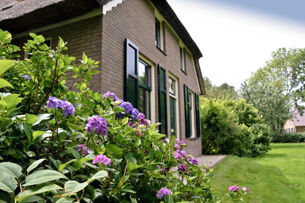 uma casa com flores roxas em frente em Bij ons op 20 em Nijeveen