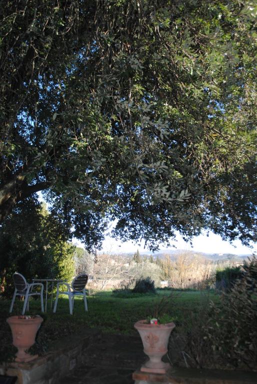 einen Stuhl unter einem Baum im Garten in der Unterkunft Agriturismo Fattoria di Malavolta in Florenz
