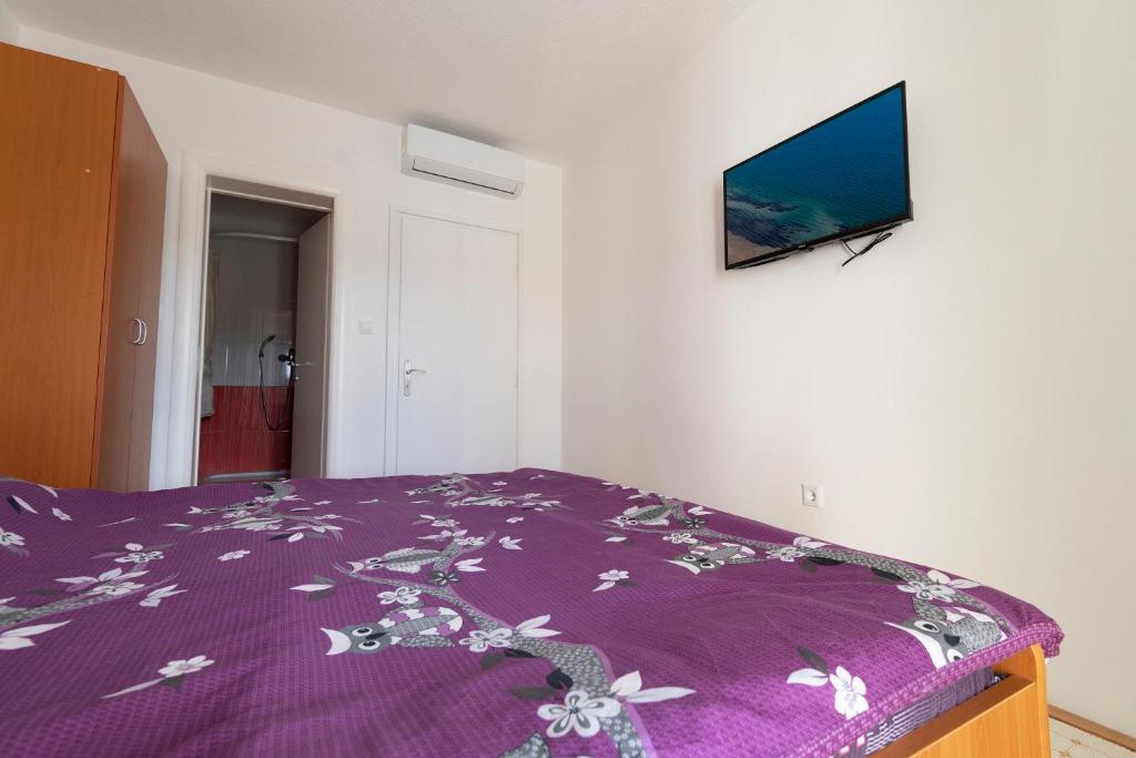 TV a/nebo společenská místnost v ubytování Apartments & rooms Leon