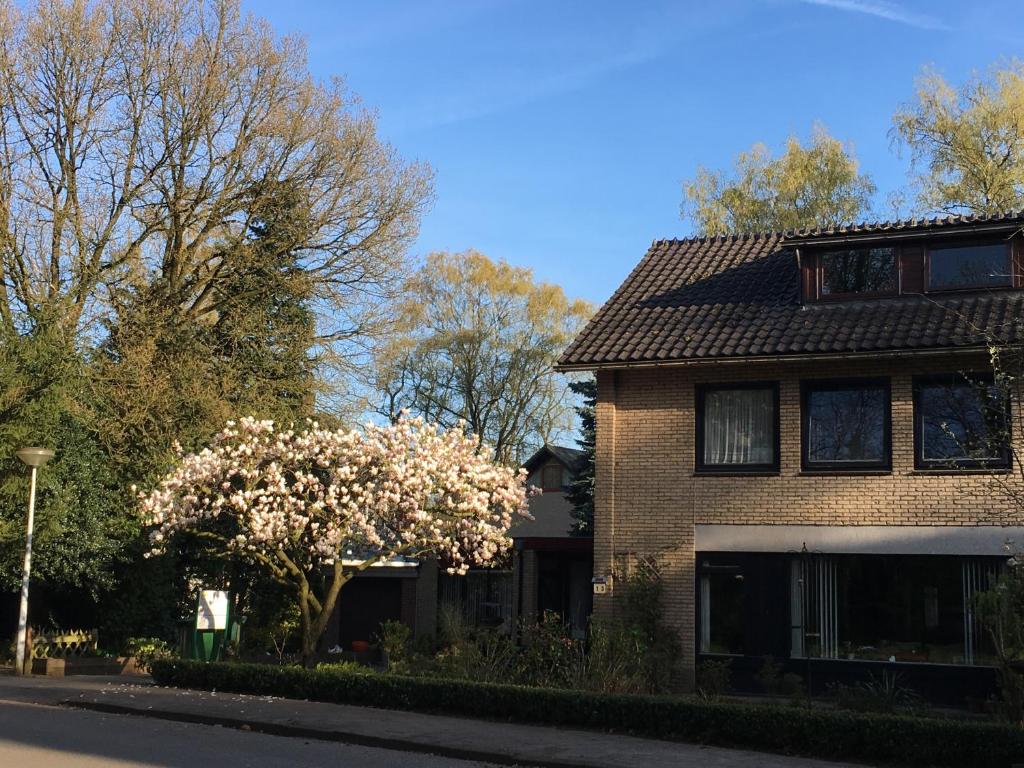 Bed & Breakfast de IJsvogel (Нидерланды Доорверт)