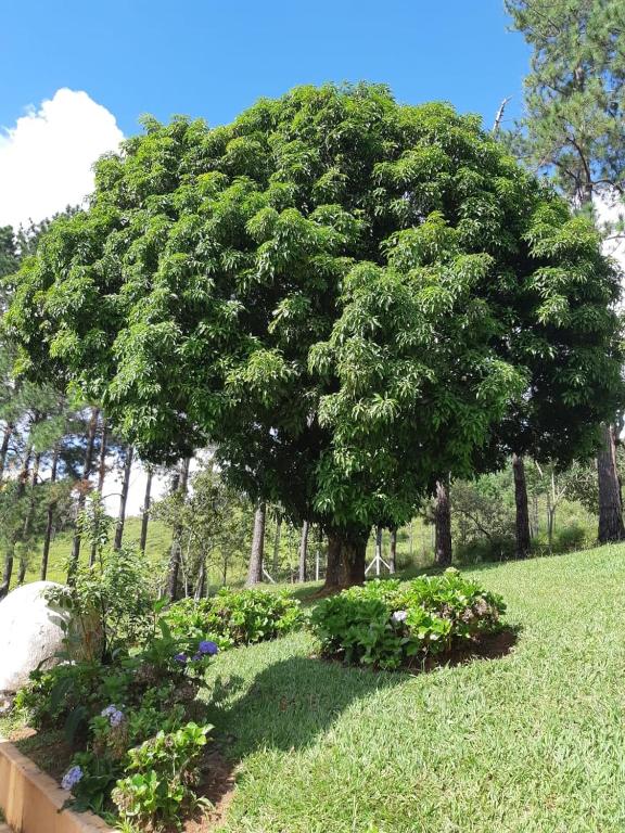  Recanto das Borboletas