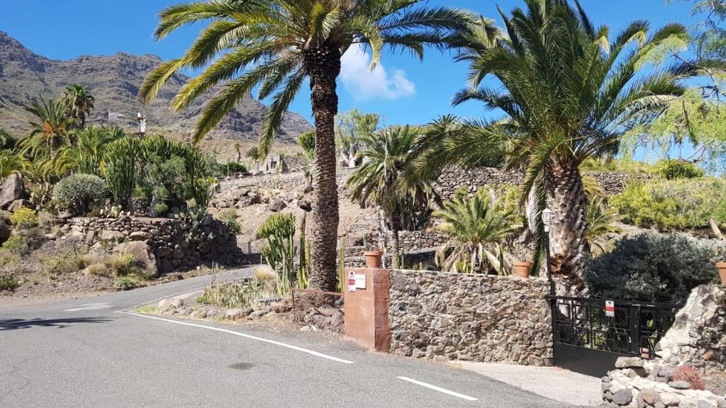 una calle con palmeras al lado de una carretera en Villa de Cactualdea, en San Nicolás