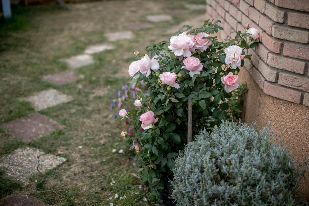 Ferienwohnung Landhaus Swisttal - In der Nähe Phantasialand Brühl und Palmenparadies Therme Euskirchen - 4
