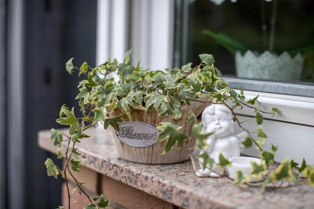 Ferienwohnung Landhaus Swisttal - In der Nähe Phantasialand Brühl und Palmenparadies Therme Euskirchen - 5