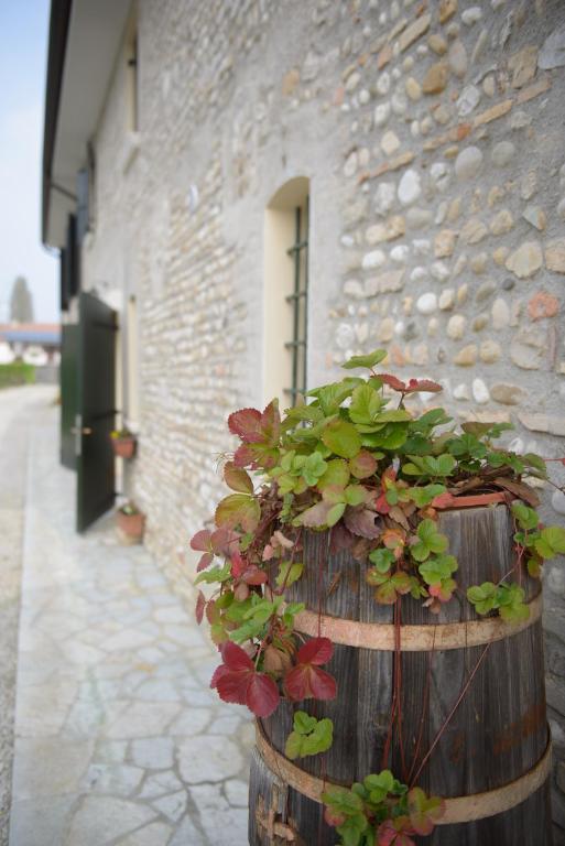 Ca' Premuda Locazione Turistica