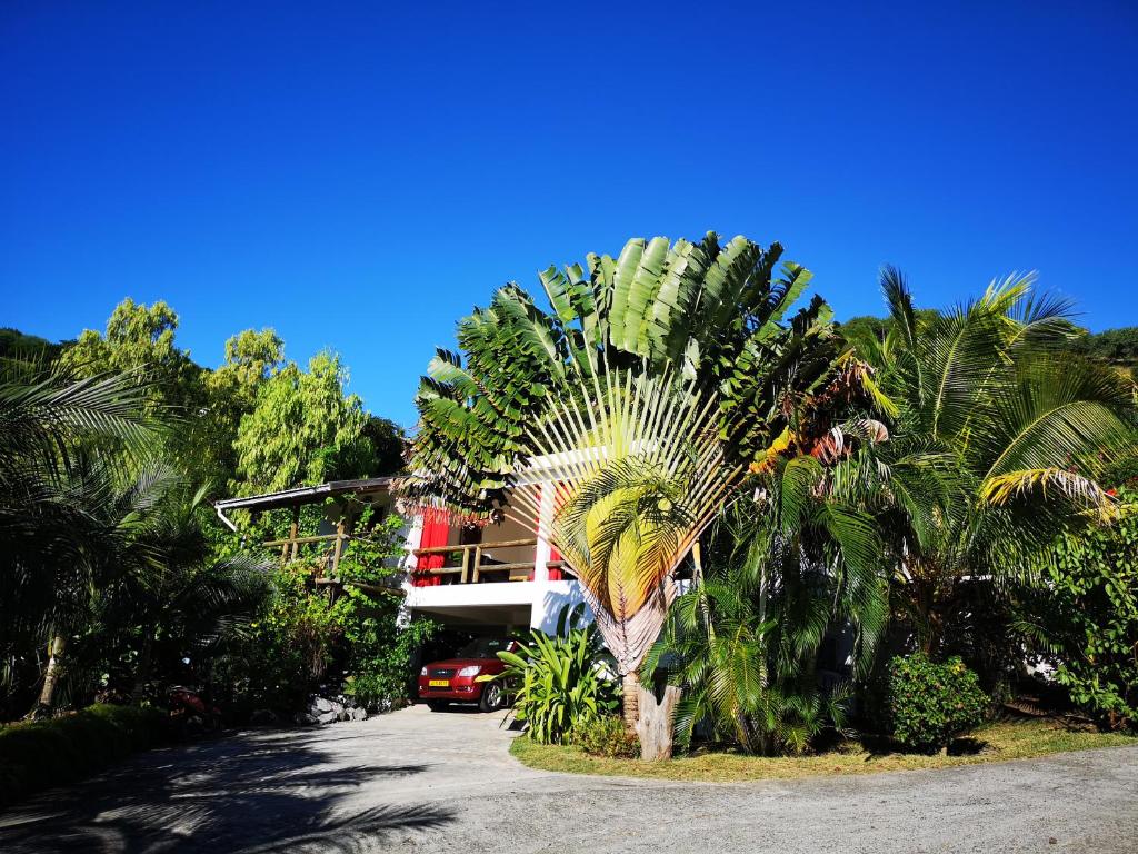 a palm tree in front of a house at Villa de la Vallée in Rodrigues Island