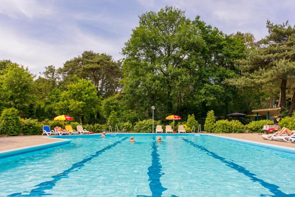 Bazén v ubytování Bospark Markelo nebo v jeho okolí