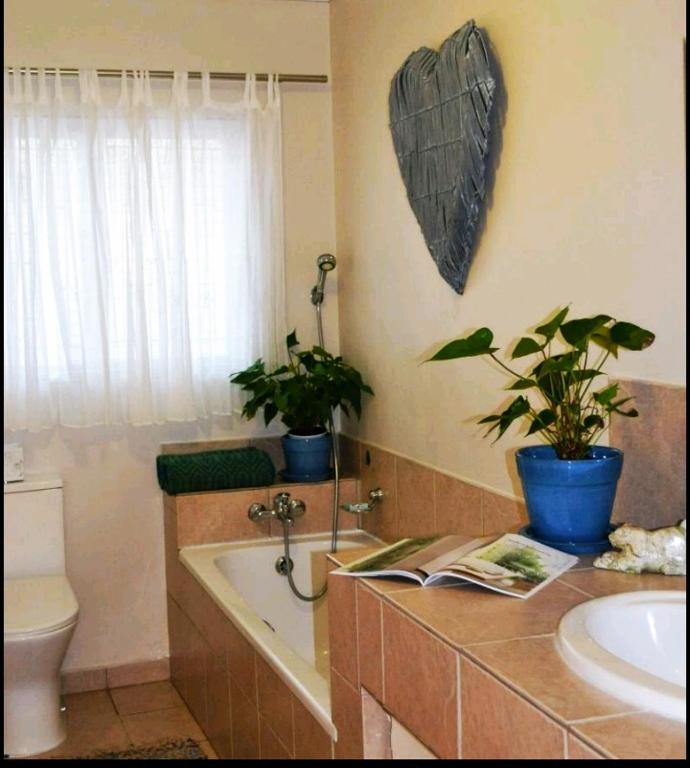 Mahogany Villa Guesthouse - SOLAR - Квартира с видом на бассейн