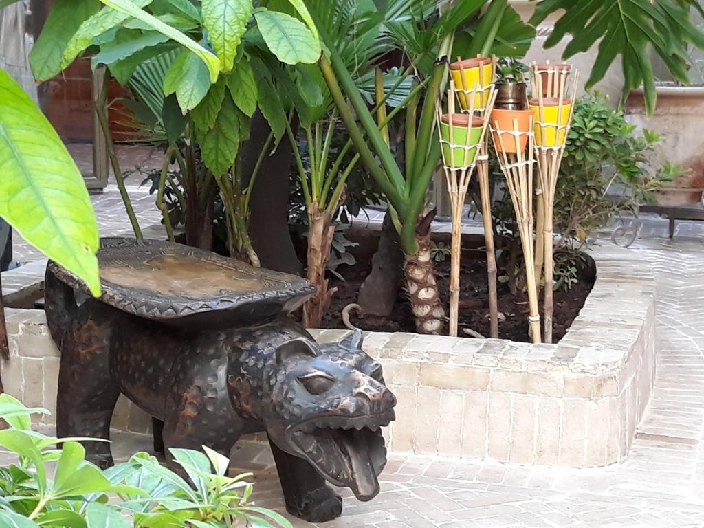 Zahrada ubytování Riad Jnane d'Ô