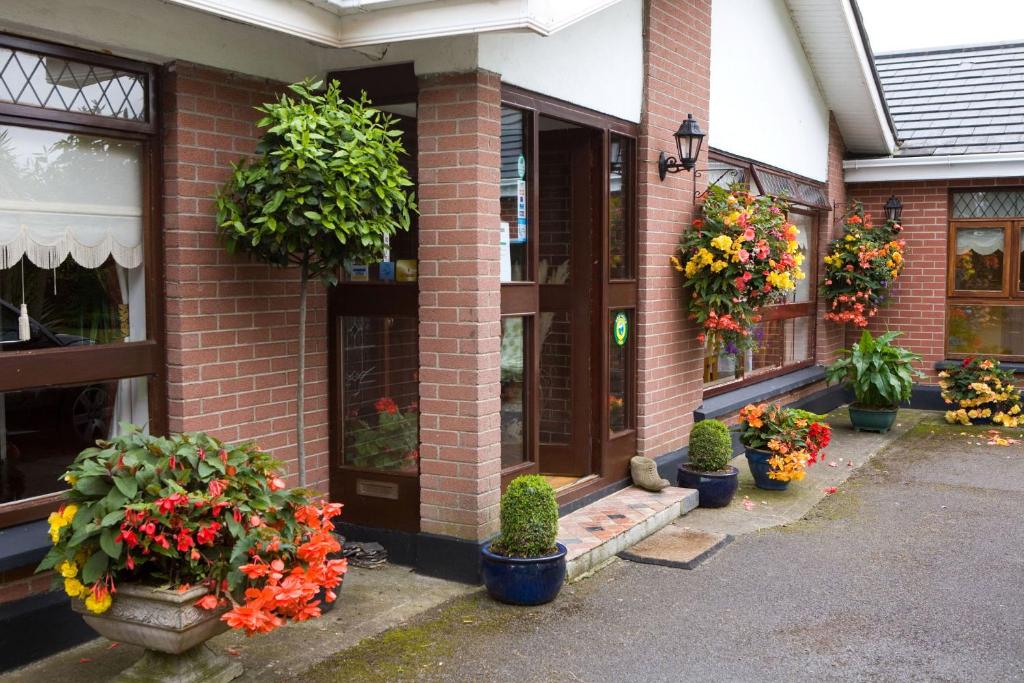 Zahrada ubytování Evergreen Bed & Breakfast