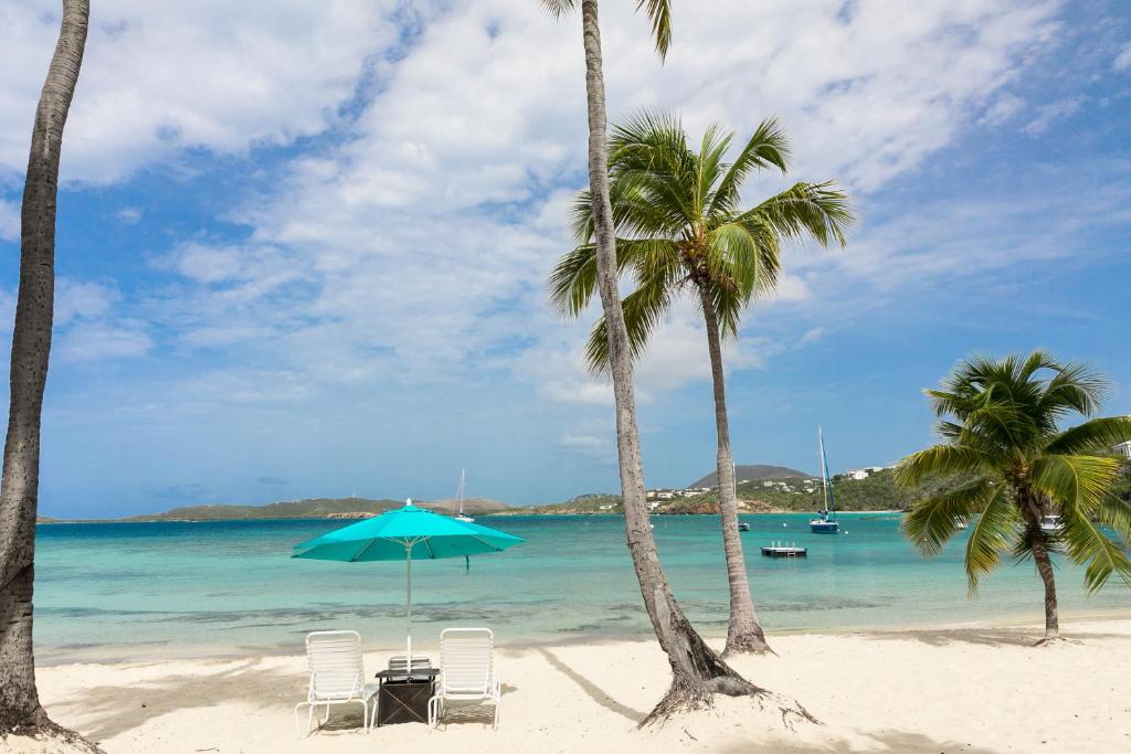 two chairs and an umbrella on a beach with palm trees at Secret Harbour Beach Resort in St Thomas