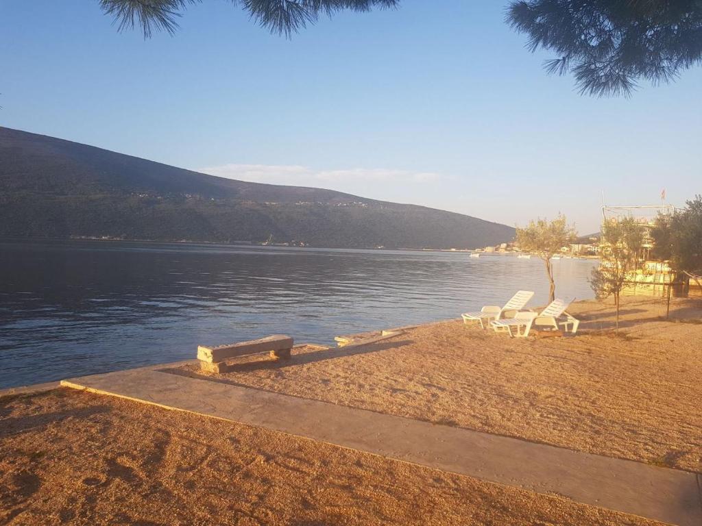 Apartmani Danilovic - 海景公寓