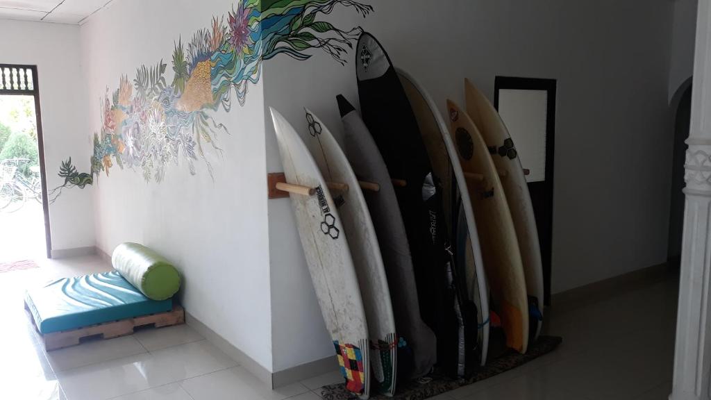 Fotografie z fotogalerie ubytování Coco Hostels - Weligama v destinaci Weligama