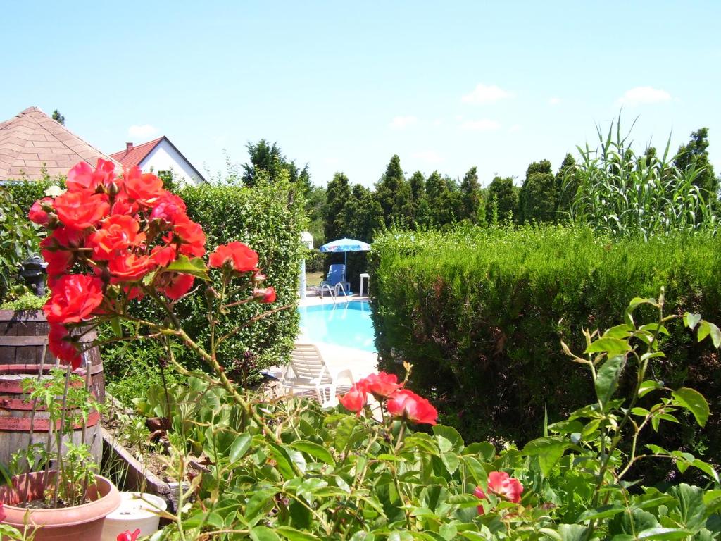 a garden with red flowers and a swimming pool at Mandel Apartment in Paloznak
