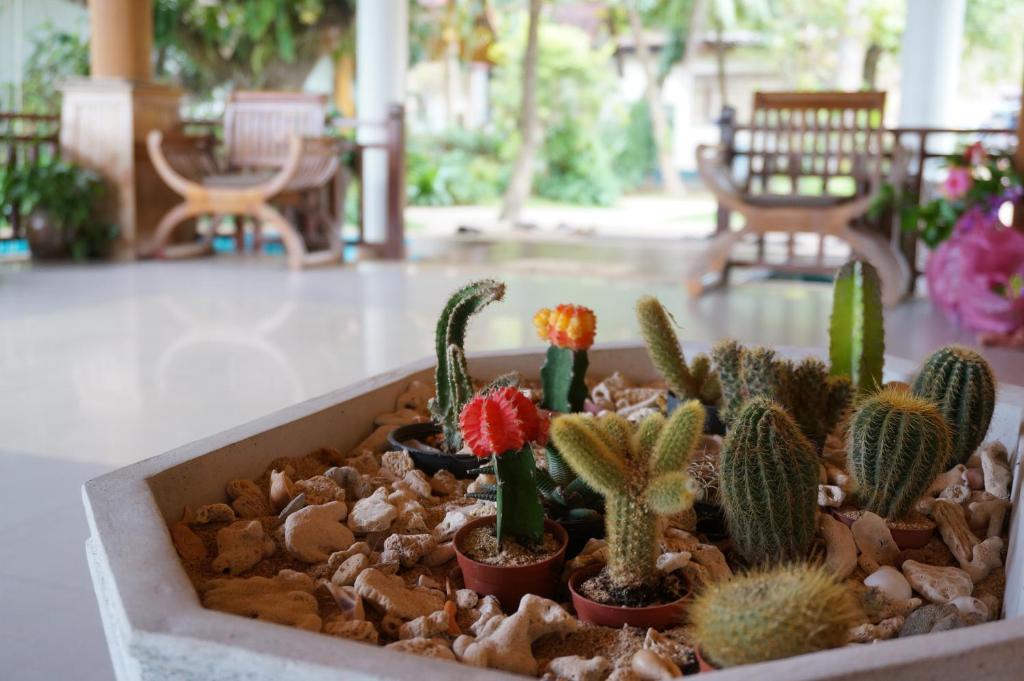 Lanta Miami Resort - SHA Extra Plus - 7