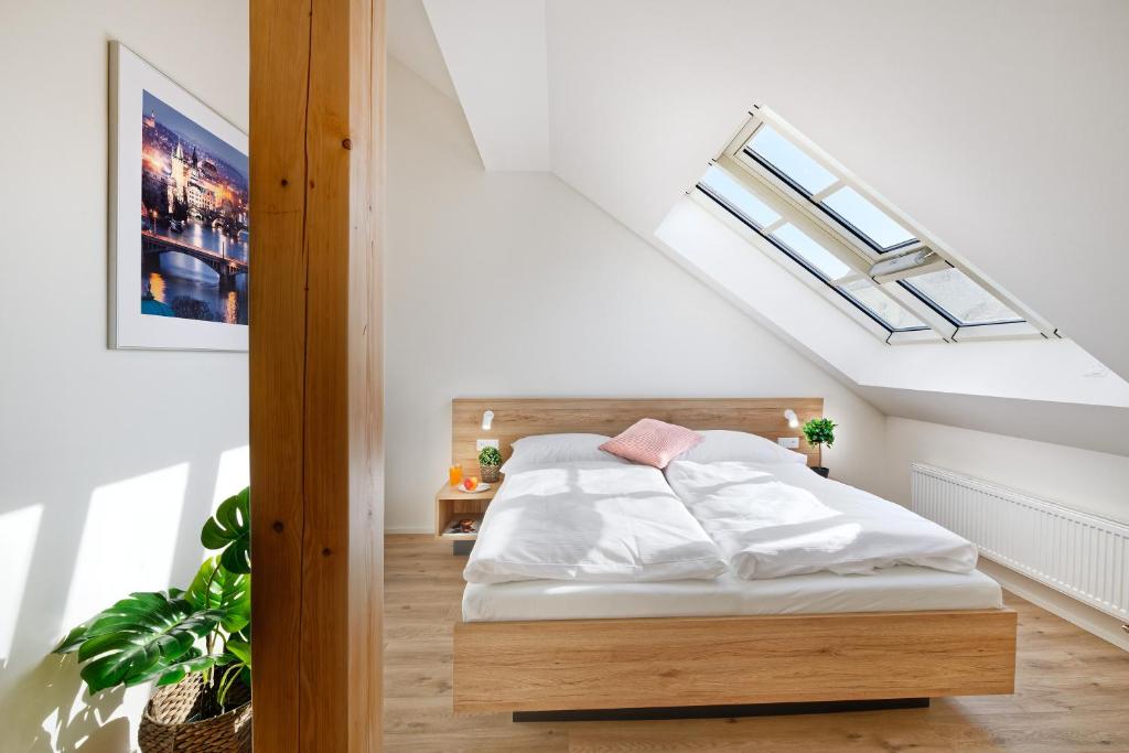 DownTown Suites Jugoslavska - Resim 19