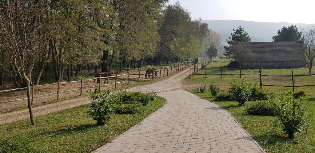 Príroda v okolí penziónu