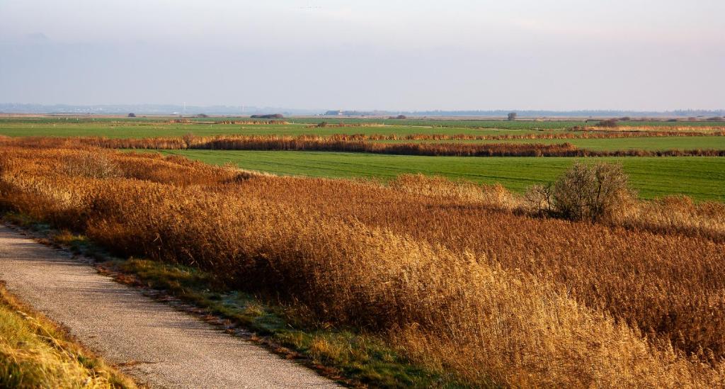 Příroda nedaleko penzionu – hostince