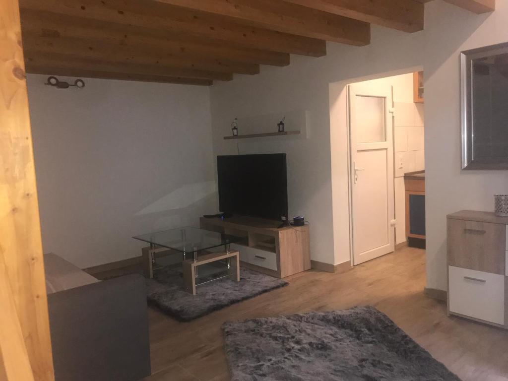TV a/nebo společenská místnost v ubytování Holidayapartment Rüsselsheim