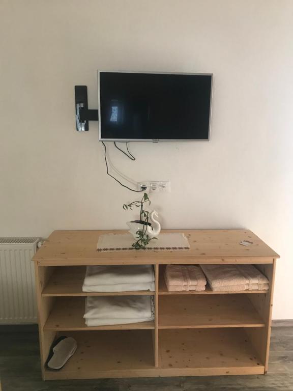 TV a/nebo společenská místnost v ubytování Apartments & Rooms Preseren