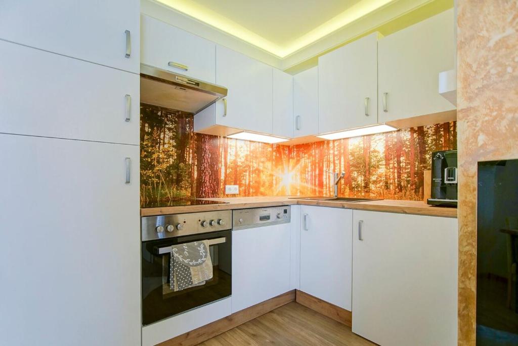 Kuchyň nebo kuchyňský kout v ubytování AusZeit Leoben 1 mit Terasse und gratis Parkplatz
