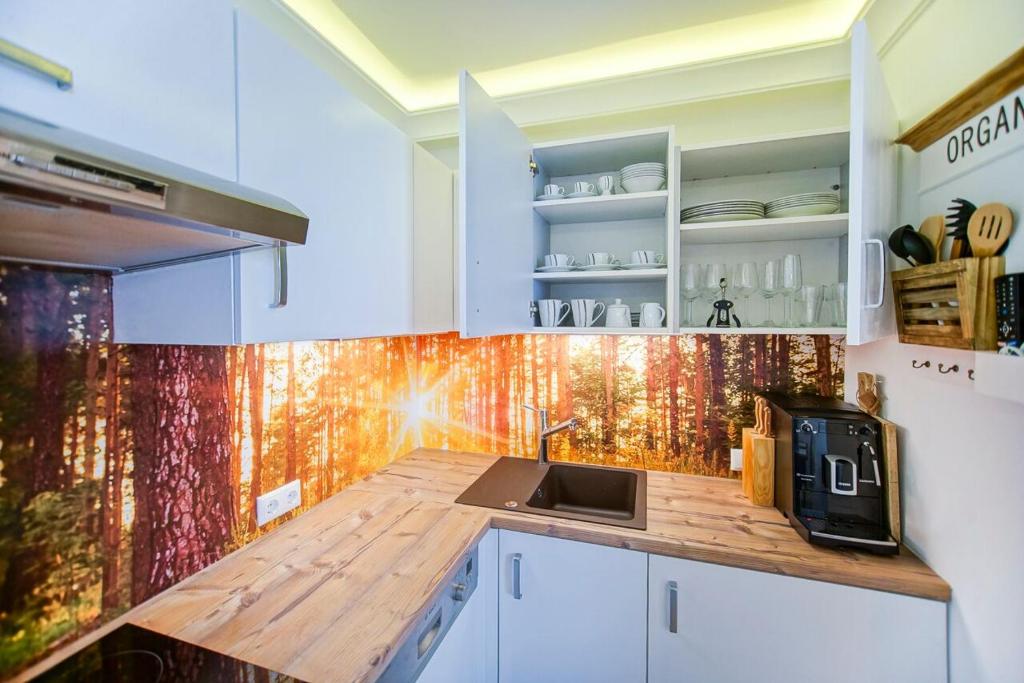 Kuchyň nebo kuchyňský kout v ubytování AusZeit Leoben 1 mit Terasse und gratis Parkplatz